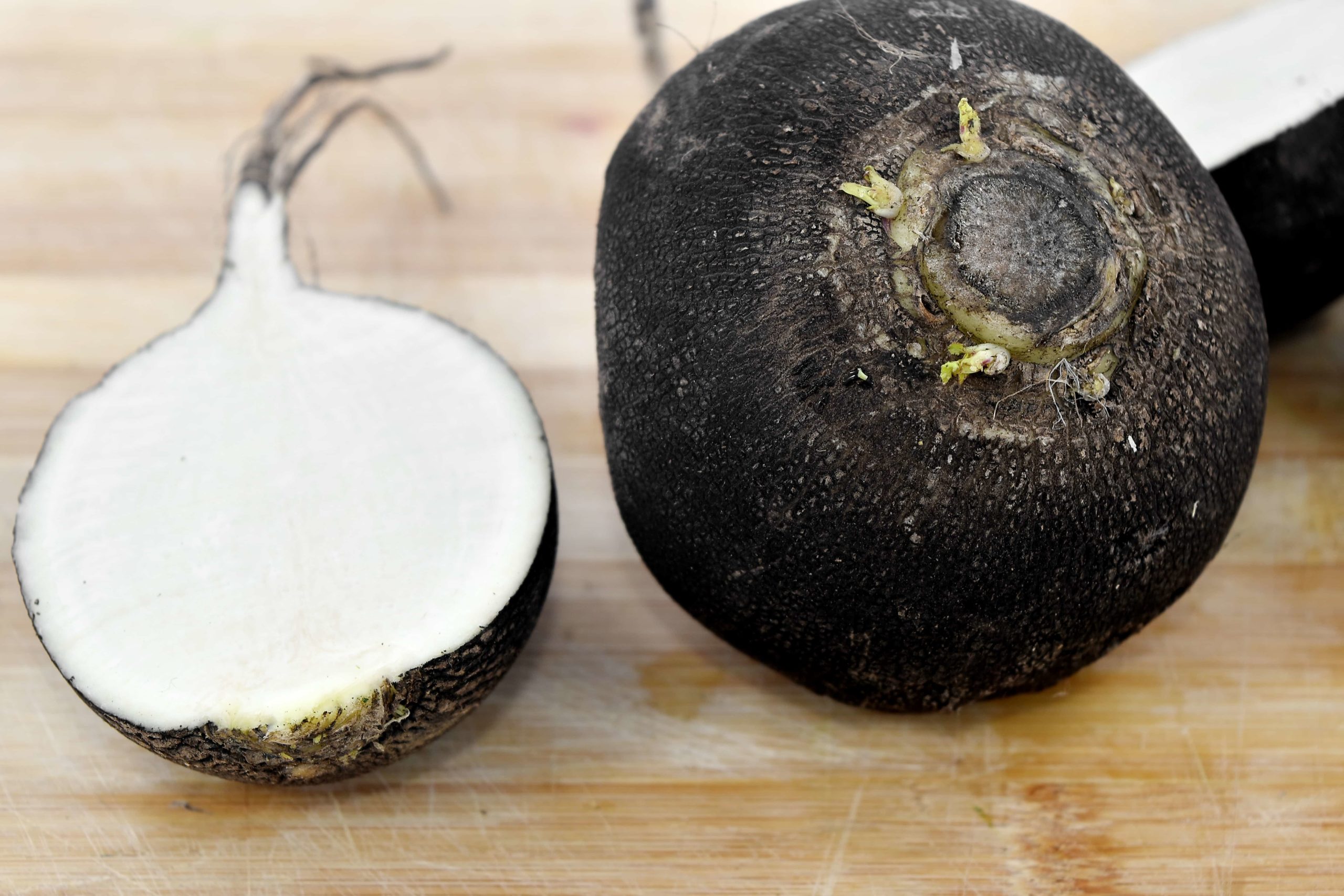 Black radish